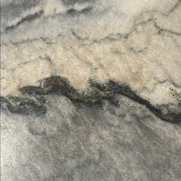 Meet your Posher, Florida - Picture 1 of 1